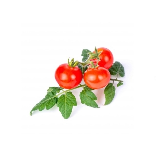 BIO Cherry rajčata pro chytré květináče VÉRITABLE® - LINGOT®